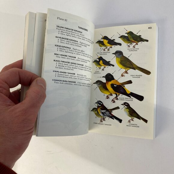 Vintage Peterson Field Guides Mexican Birds Book Copyright 1973 - Picture 5 of 6